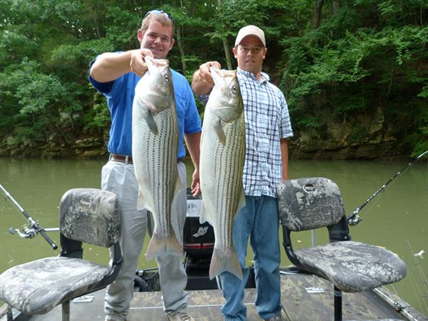 Gary-Stanley-Weaver-Stripers