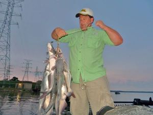 Stringer-shot-1-4-12