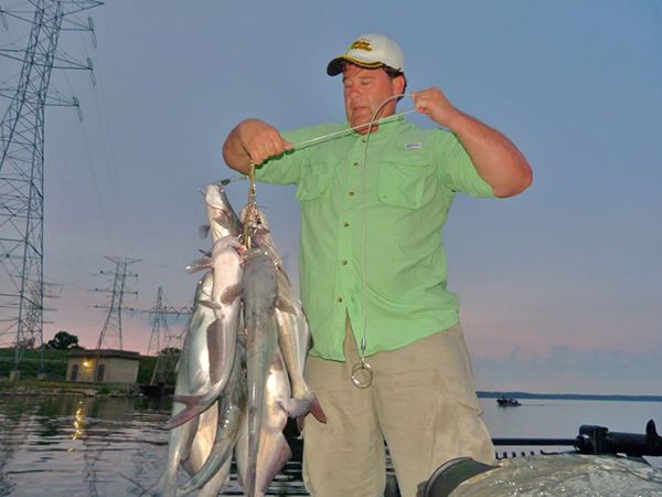 Stringer-shot-1-4-12