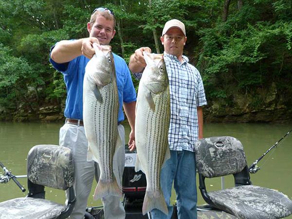 Gary-Stanley-Weaver-Stripers